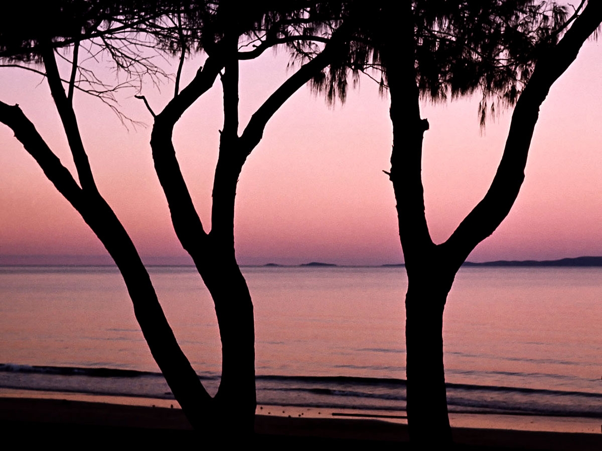 Click image for larger version

Name:	Dusk3Trees_sml.jpg
Views:	70
Size:	458.6 KB
ID:	480823