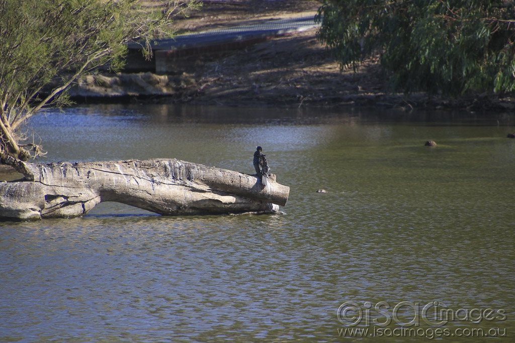 Click image for larger version

Name:	5436-Lake.jpg
Views:	115
Size:	517.7 KB
ID:	475547