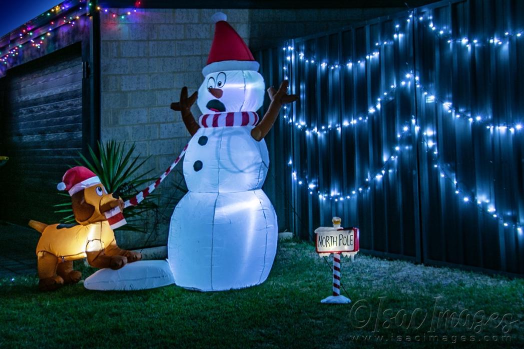 Click image for larger version

Name:	4858-Christmas_Lights.jpg
Views:	80
Size:	105.6 KB
ID:	483075