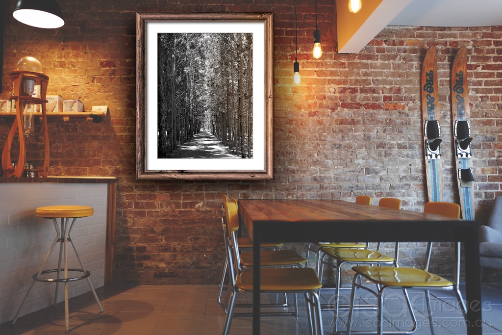 Click image for larger version

Name:	Cafe_Tall_Trees.jpg
Views:	80
Size:	500.5 KB
ID:	471169