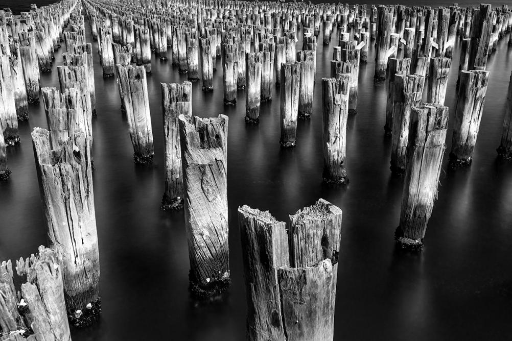 Click image for larger version

Name:	Princes Pier Pilings (B-W sliders).jpg
Views:	97
Size:	133.0 KB
ID:	484722