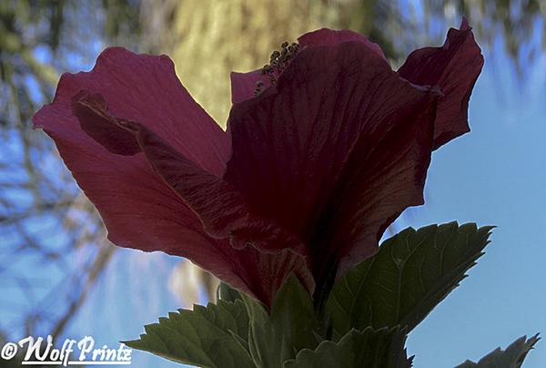 Click image for larger version

Name:	IMG_3451.jpg
Views:	51
Size:	95.2 KB
ID:	464371