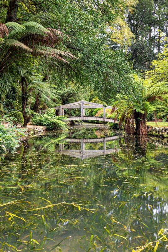 Click image for larger version

Name:	Alfred Nicholas Gardens 4.jpg
Views:	79
Size:	153.0 KB
ID:	485165