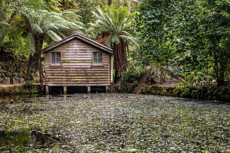 Click image for larger version

Name:	Alfred Nicholas Gardens 5.jpg
Views:	81
Size:	151.2 KB
ID:	485166