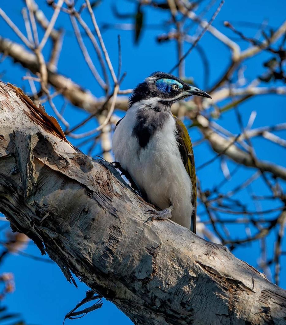 Click image for larger version

Name:	20220411_EaglebyWetlands_0097-Edit.jpg
Views:	58
Size:	152.9 KB
ID:	485436