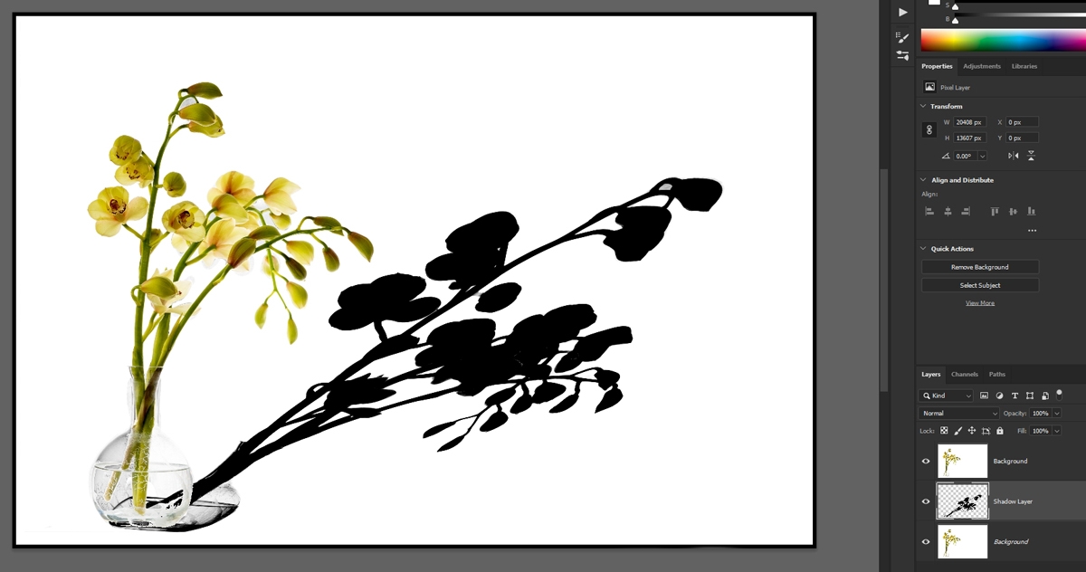 Click image for larger version

Name:	shadow.jpg
Views:	81
Size:	198.5 KB
ID:	487887