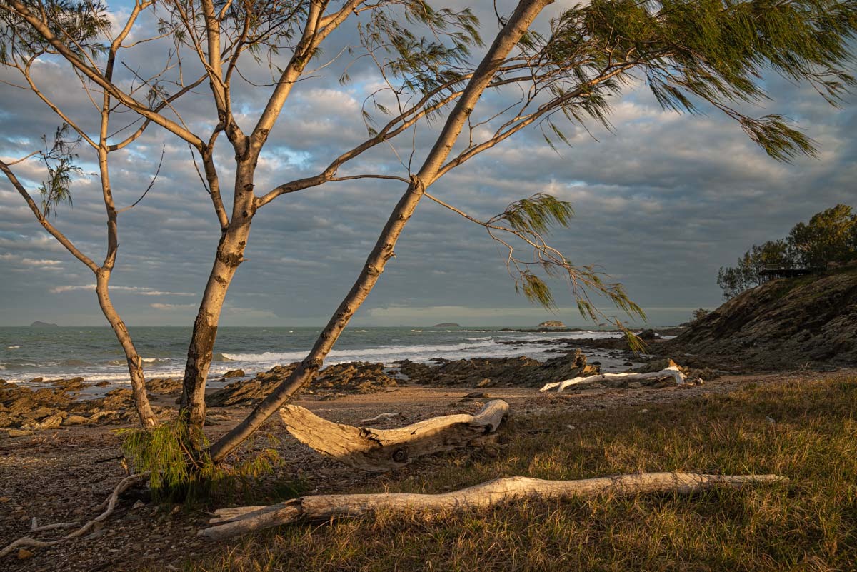 Click image for larger version

Name:	20220822_Yeppoon_0175.jpg
Views:	69
Size:	315.4 KB
ID:	489094