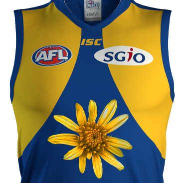 Click image for larger version

Name:	eaglem Eagles Jumper.png
Views:	43
Size:	149.7 KB
ID:	463943
