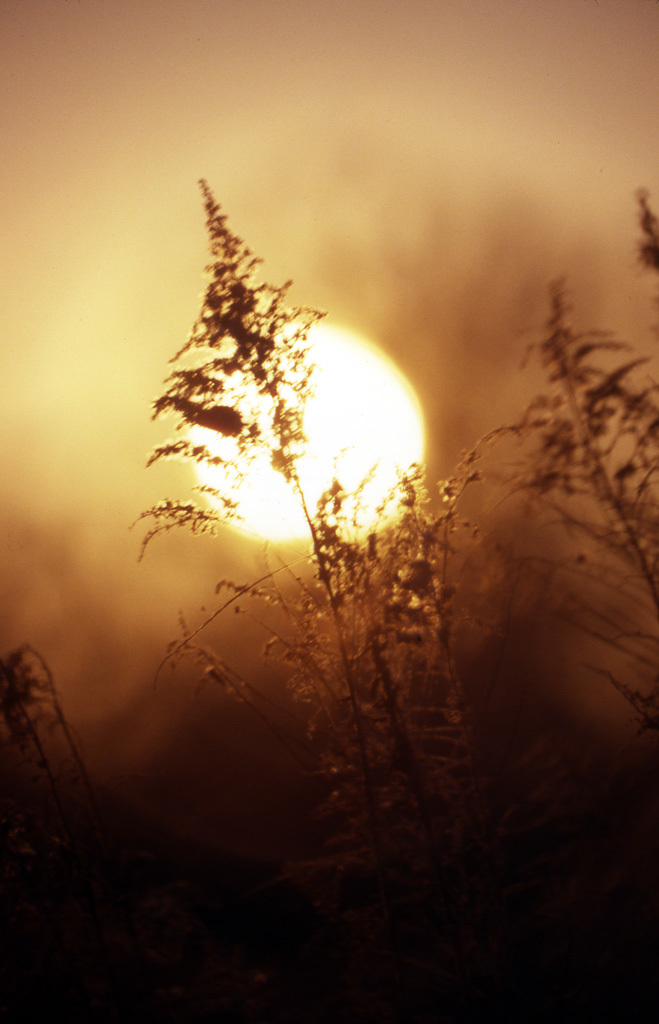 Click image for larger version  Name:	sunset_mont_81.jpg Views:	0 Size:	168.9 KB ID:	490774
