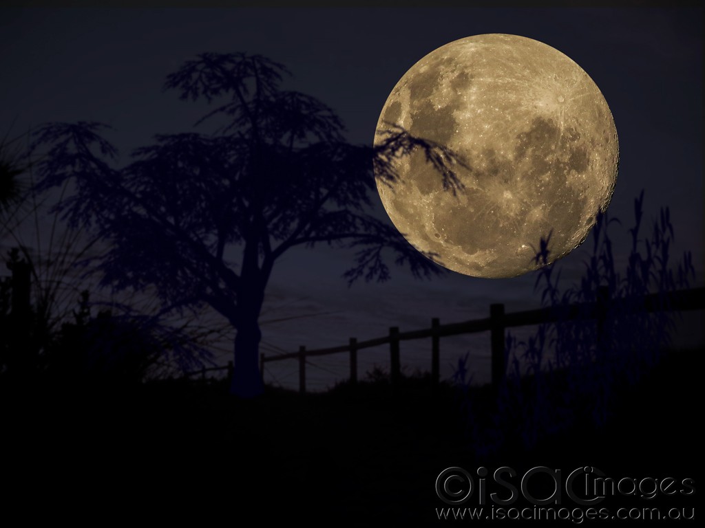 Click image for larger version

Name:	1961-Moon.jpg
Views:	307
Size:	88.2 KB
ID:	468792