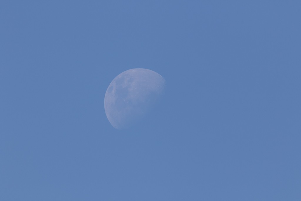 Click image for larger version

Name:	73% Moon (SOOC).jpg
Views:	166
Size:	24.2 KB
ID:	469120