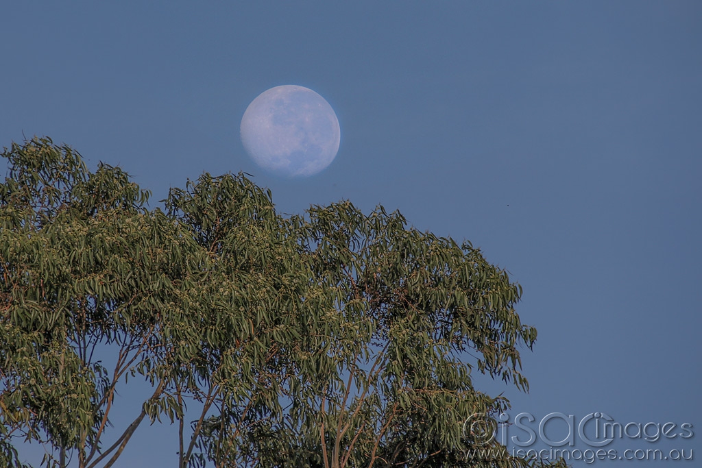 Click image for larger version

Name:	027A5089-Over_The_Moon.jpg
Views:	29
Size:	466.1 KB
ID:	470129