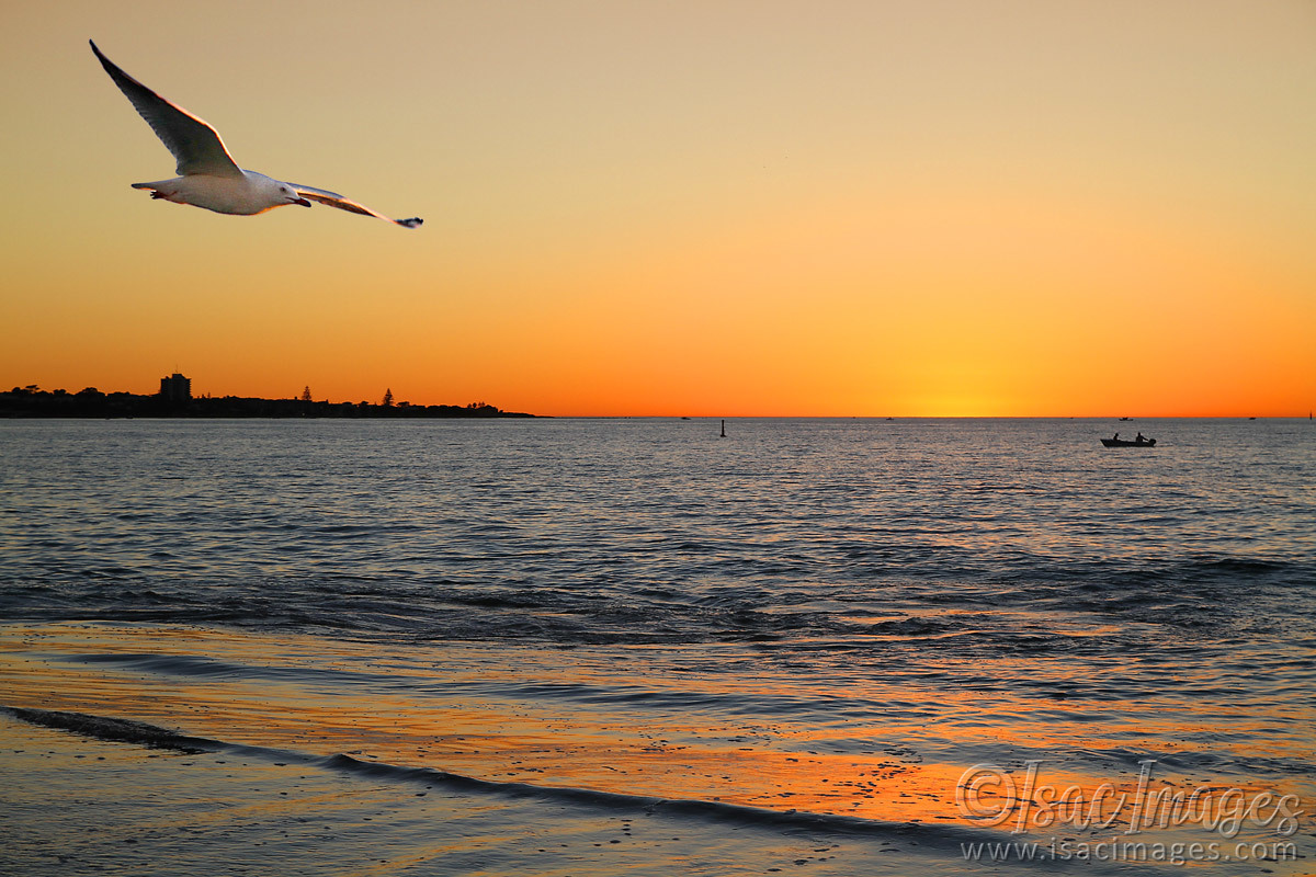 Click image for larger version

Name:	Silver-Sands-Sunset.jpg
Views:	173
Size:	317.6 KB
ID:	490792