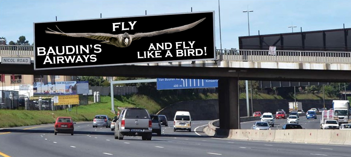 Click image for larger version

Name:	Baudin_Airways_4.jpg
Views:	99
Size:	277.7 KB
ID:	491456