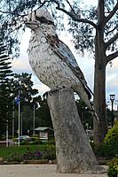 Click image for larger version

Name:	Another Kooka.jpg
Views:	91
Size:	343.9 KB
ID:	485248