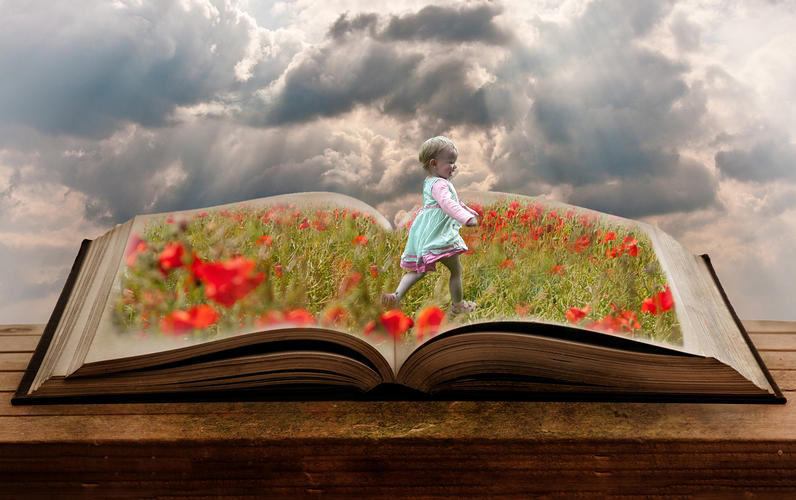 Click image for larger version

Name:	book&amp;sky&amp;poppies&amp;lol.jpg
Views:	209
Size:	115.7 KB
ID:	493501