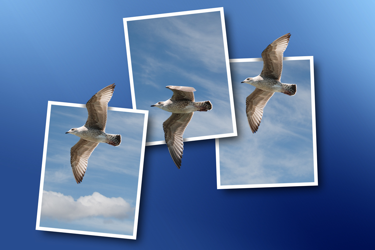 Click image for larger version

Name:	Triple_OOB.jpg
Views:	180
Size:	299.6 KB
ID:	493627
