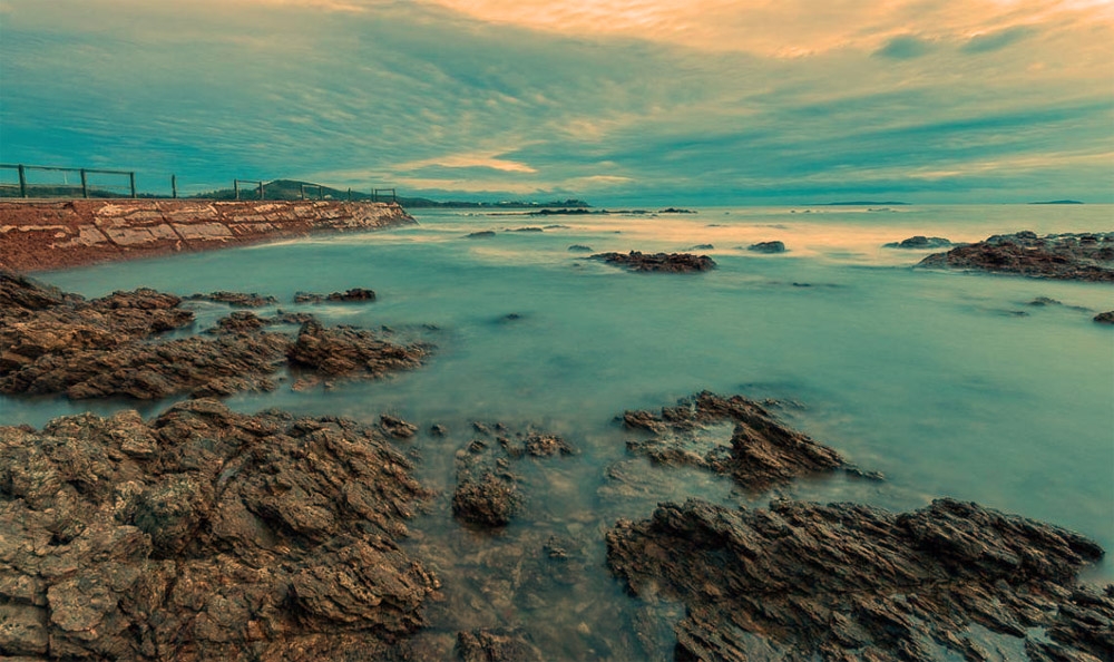 Click image for larger version

Name:	Wigz-Emu Park.jpg
Views:	67
Size:	428.8 KB
ID:	487680