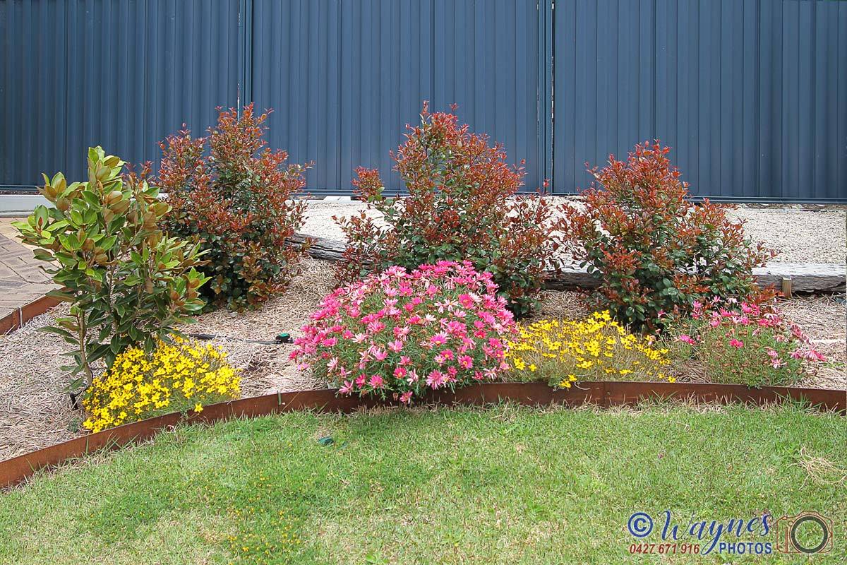 Click image for larger version

Name:	0135-Front_Garden.jpg
Views:	75
Size:	269.6 KB
ID:	494308
