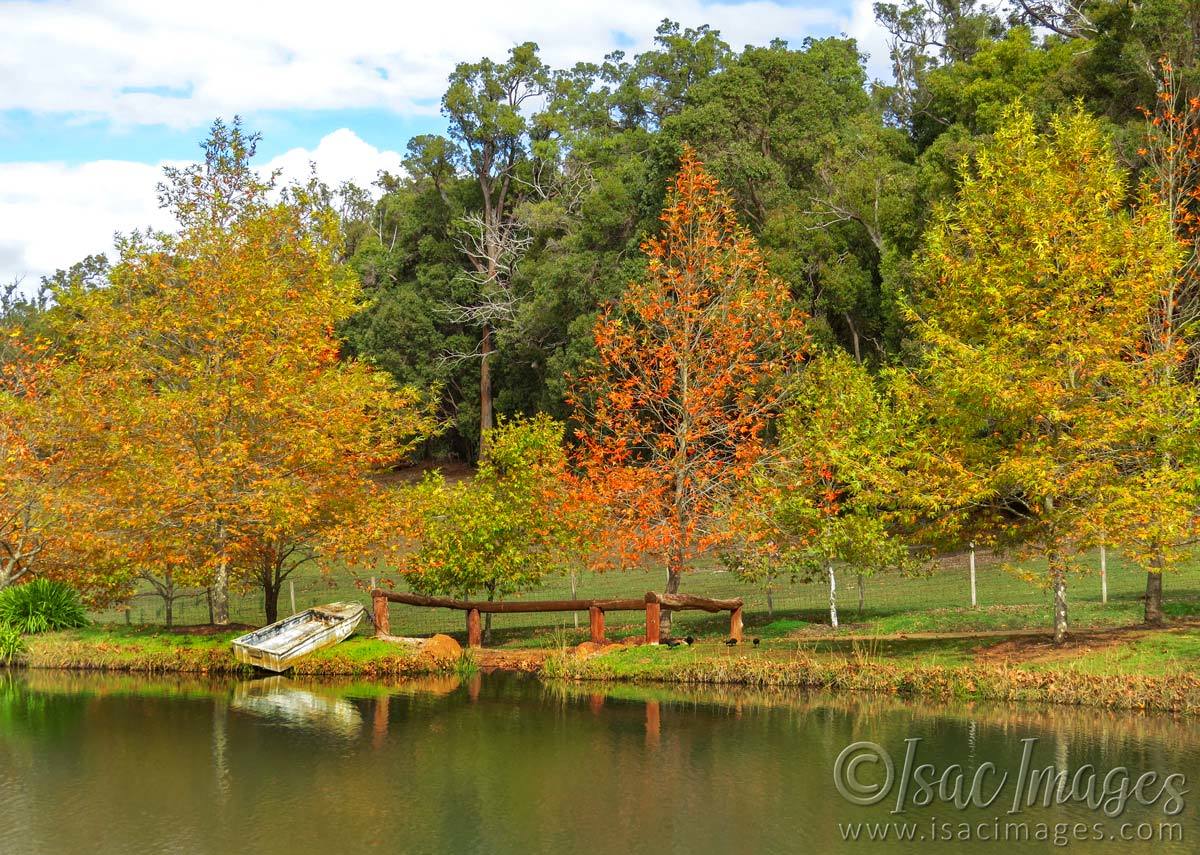 Click image for larger version

Name:	6654-Millbrook_Winery.jpg
Views:	120
Size:	266.1 KB
ID:	495382