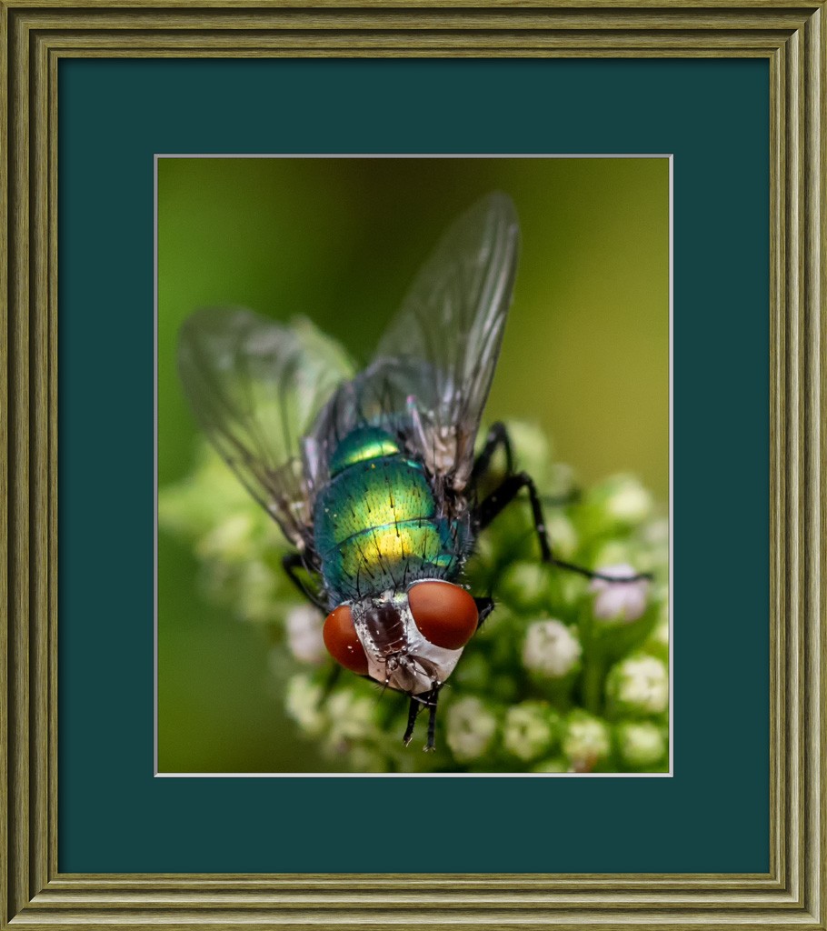Click image for larger version

Name:	Wooden Frame.jpg
Views:	157
Size:	164.7 KB
ID:	469373