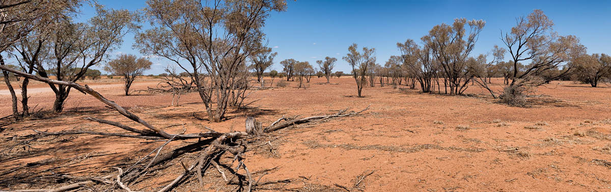 Click image for larger version

Name:	20150918_Outback_2373_2375_pan.jpg
Views:	134
Size:	233.9 KB
ID:	490410