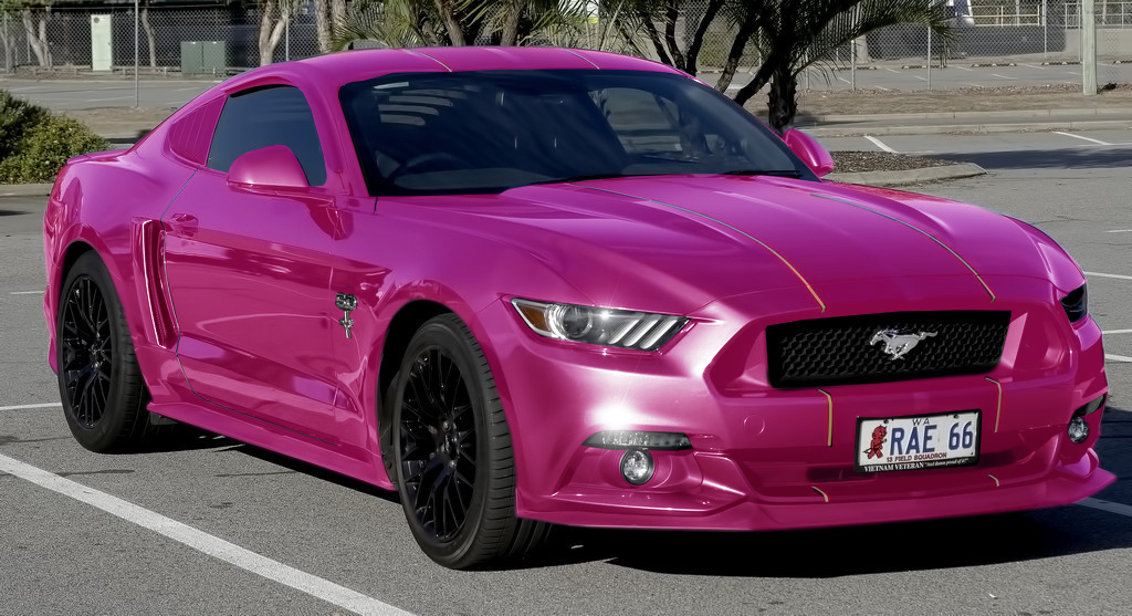 Click image for larger version

Name:	Pink Mustrang.jpg
Views:	64
Size:	285.1 KB
ID:	498191