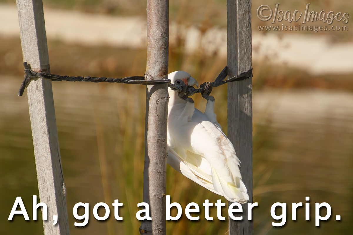 Click image for larger version

Name:	image_43040.jpg
Views:	51
Size:	281.5 KB
ID:	498723