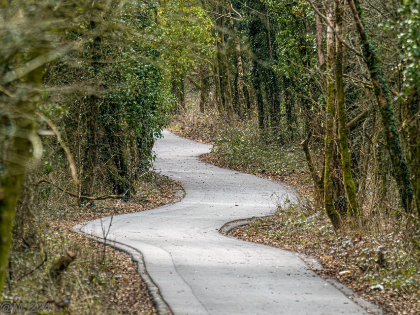 Click image for larger version

Name:	P3062696-ORF_DxO_DeepPRIME-Edit (Custom).jpg
Views:	29
Size:	296.4 KB
ID:	498999