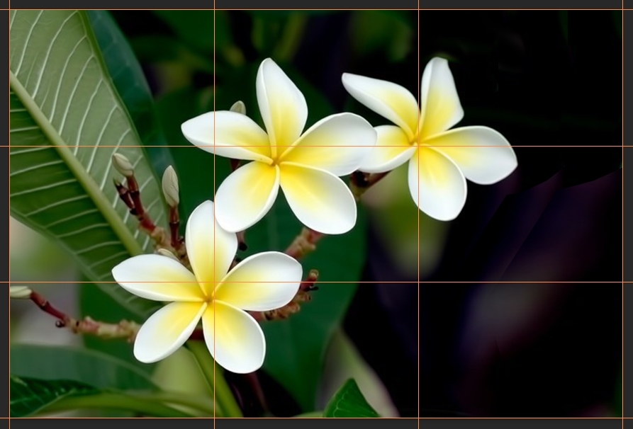 Click image for larger version

Name:	SH_877.jpg
Views:	46
Size:	208.3 KB
ID:	499684