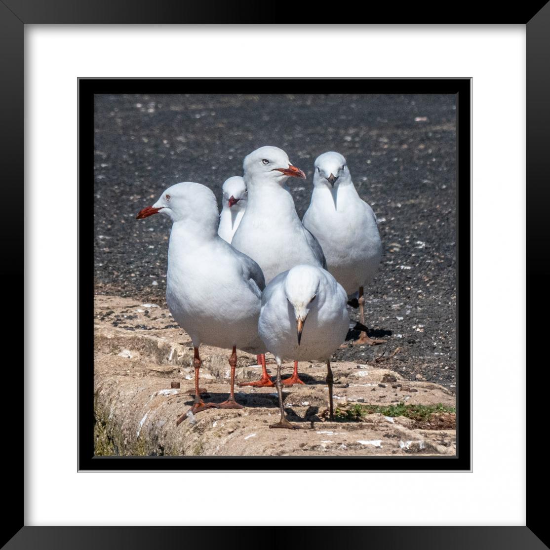 Click image for larger version

Name:	Gallery Frame 1.jpg
Views:	69
Size:	136.4 KB
ID:	477528