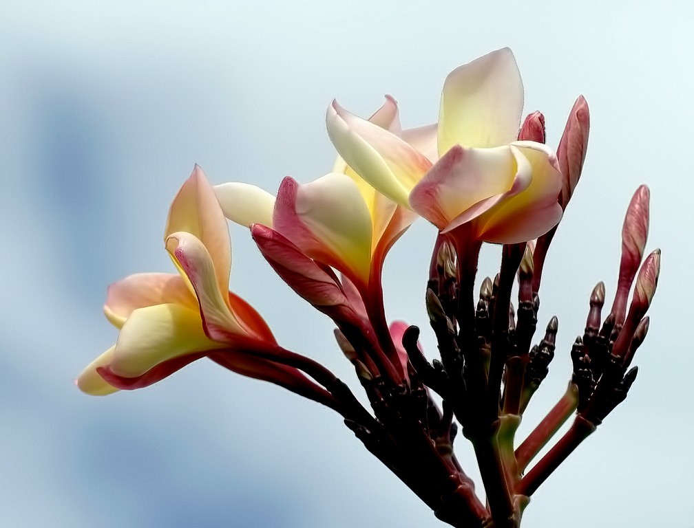Click image for larger version

Name:	T6J1GcT.jpg
Views:	50
Size:	114.4 KB
ID:	499945