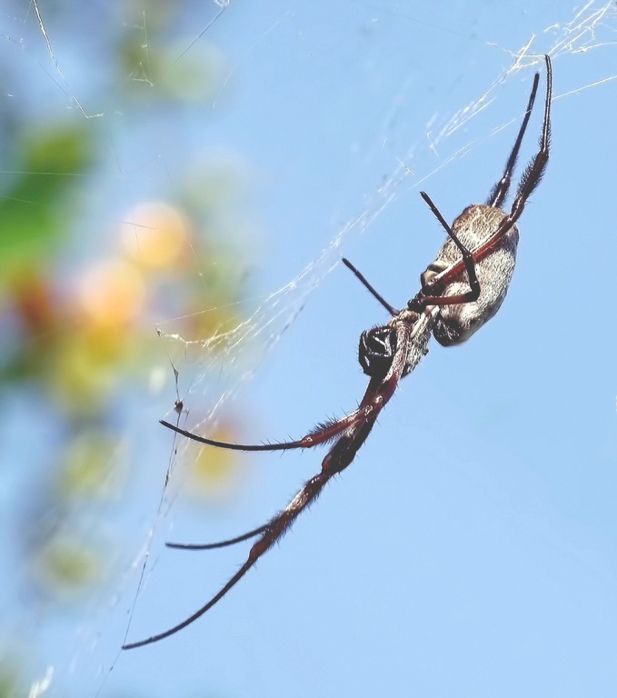 Click image for larger version

Name:	Nmwhe0l.jpg
Views:	47
Size:	200.8 KB
ID:	501096