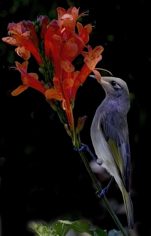 Click image for larger version

Name:	BgiYBsO.jpg
Views:	52
Size:	55.6 KB
ID:	501430