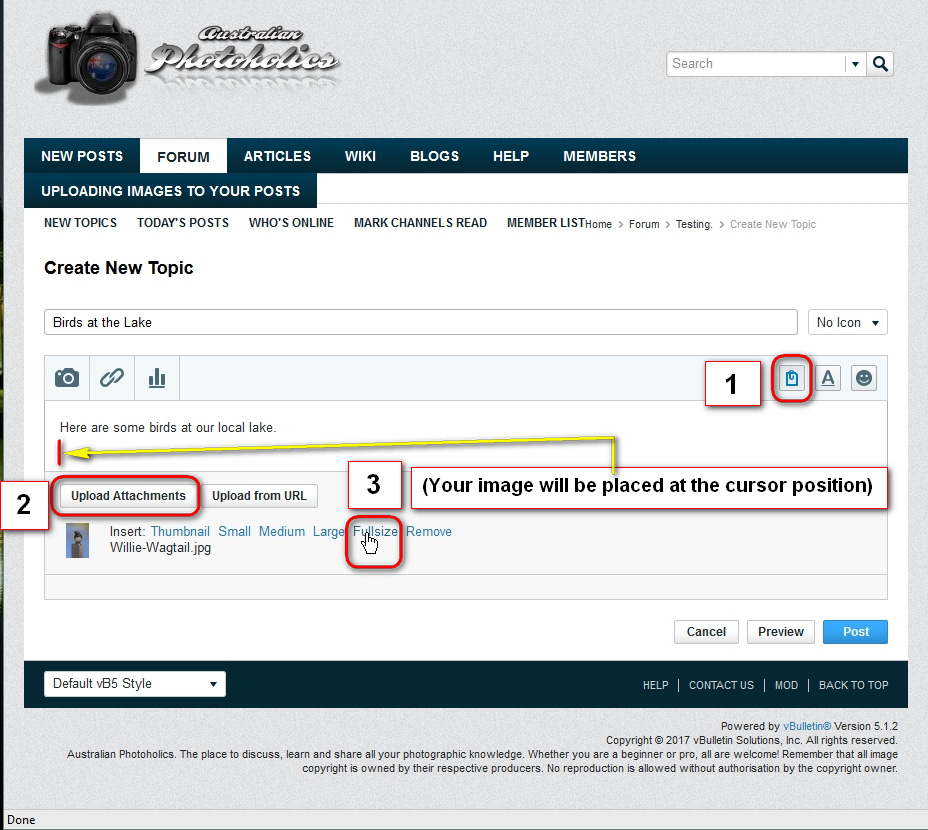 Click image for larger version

Name:	Posting-to-AP-Paper-Clip-Method.jpg
Views:	43
Size:	220.0 KB
ID:	448358