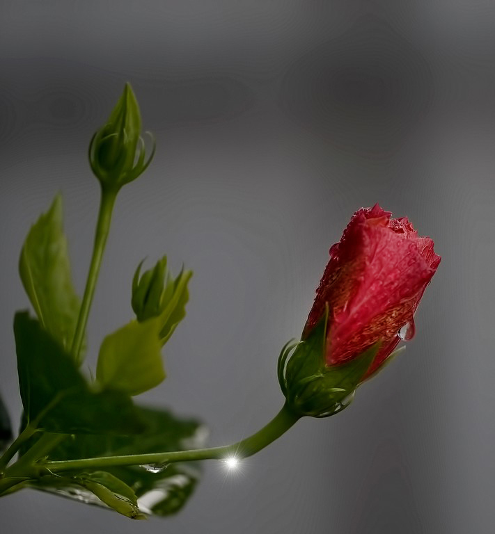 Click image for larger version

Name:	BdS1dtU.jpg
Views:	44
Size:	148.3 KB
ID:	501943