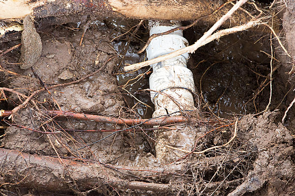 Click image for larger version

Name:	Broken pipe-4919.jpg
Views:	128
Size:	1.98 MB
ID:	397921