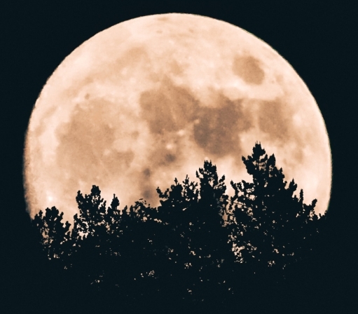 Click image for larger version

Name:	SH_456.jpg
Views:	84
Size:	138.8 KB
ID:	472616