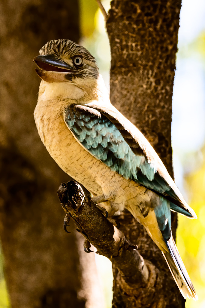 Click image for larger version

Name:	23018722.jpg
Views:	42
Size:	258.6 KB
ID:	502480