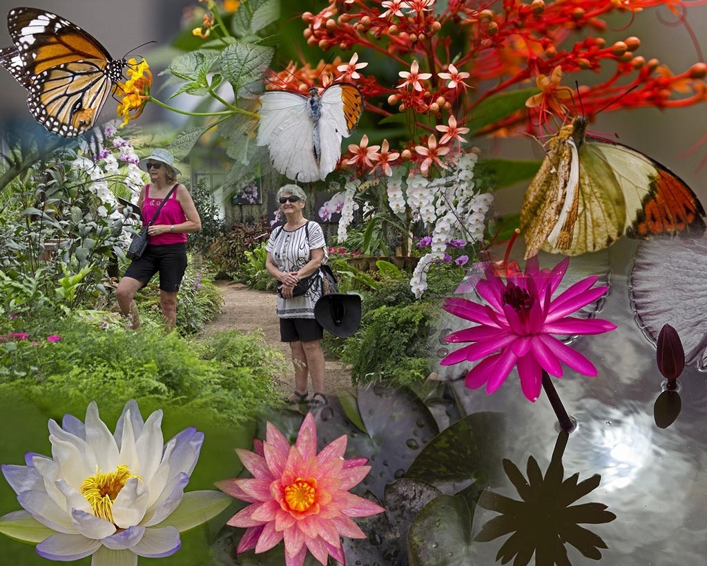 Click image for larger version

Name:	1708_MG_Collage.jpg
Views:	82
Size:	265.0 KB
ID:	459793