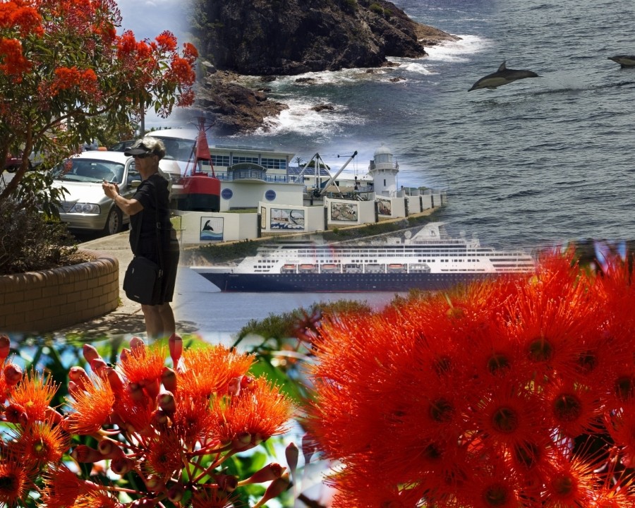 Click image for larger version

Name:	1612img_0117 Collage.jpg
Views:	79
Size:	240.5 KB
ID:	459794