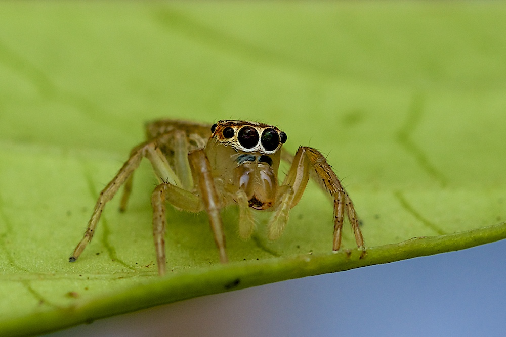 Click image for larger version

Name:	DSC_3168.jpg
Views:	49
Size:	184.3 KB
ID:	413416