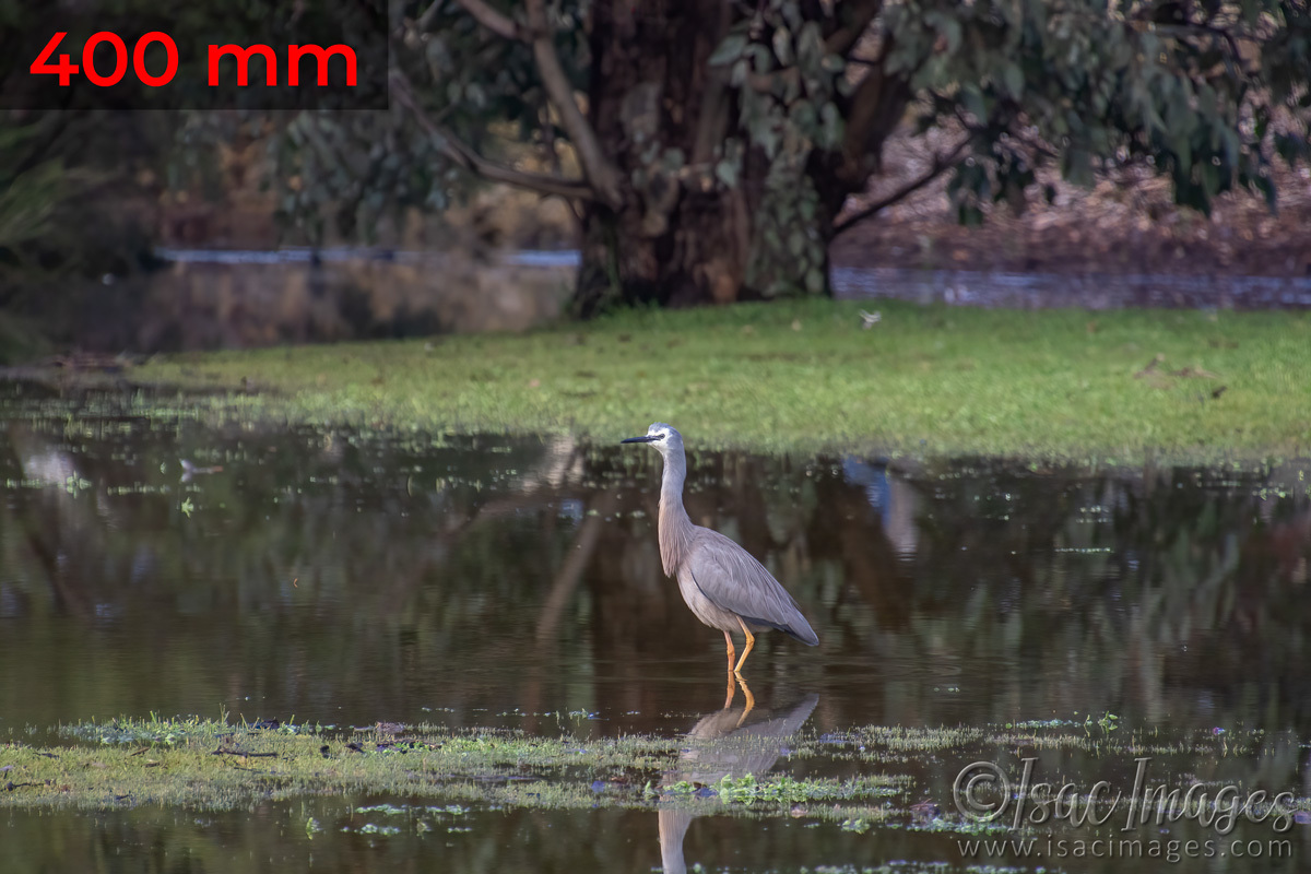 Click image for larger version

Name:	1518-Aldi_Lake_400-mm.jpg
Views:	49
Size:	295.9 KB
ID:	503118