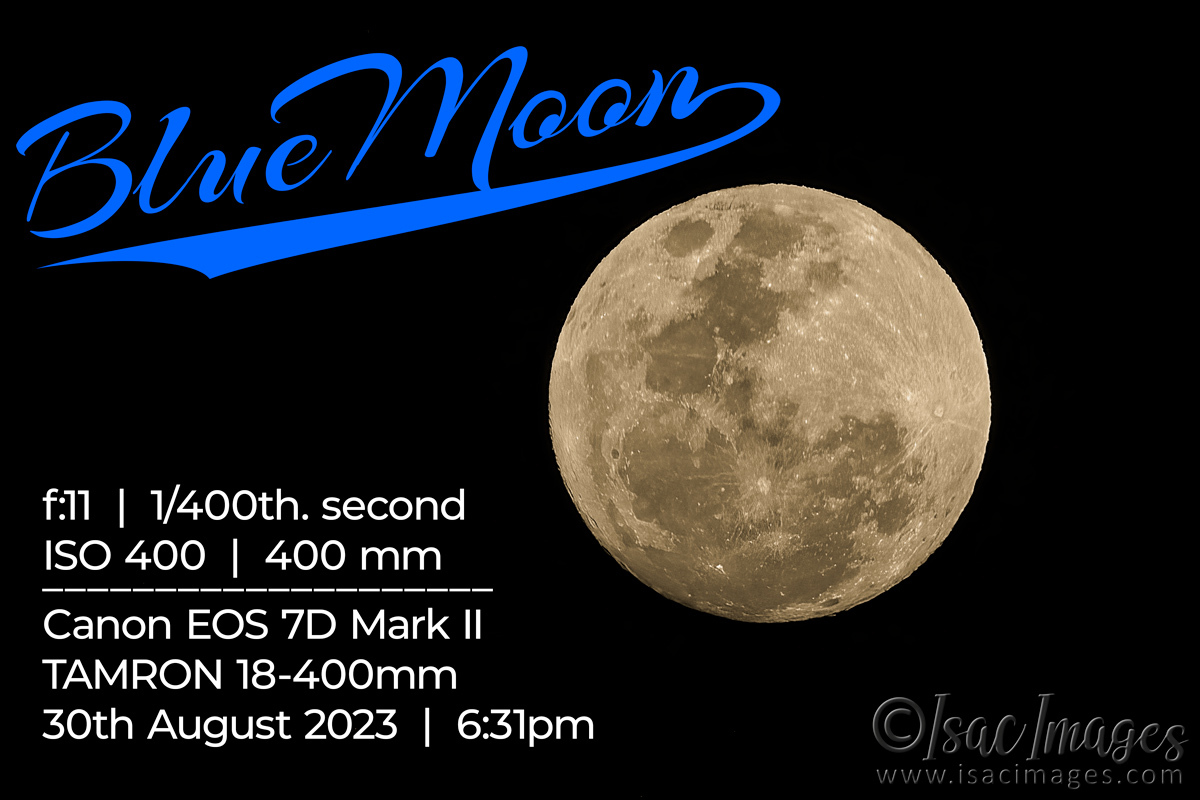 Click image for larger version

Name:	1990-Blue_Moon.jpg
Views:	96
Size:	260.6 KB
ID:	503547