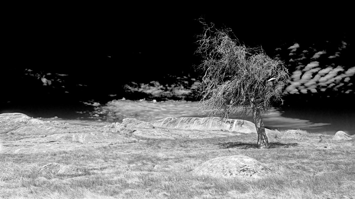 Click image for larger version

Name:	Dog Rocks 1 (B-W).jpg
Views:	66
Size:	244.7 KB
ID:	504375