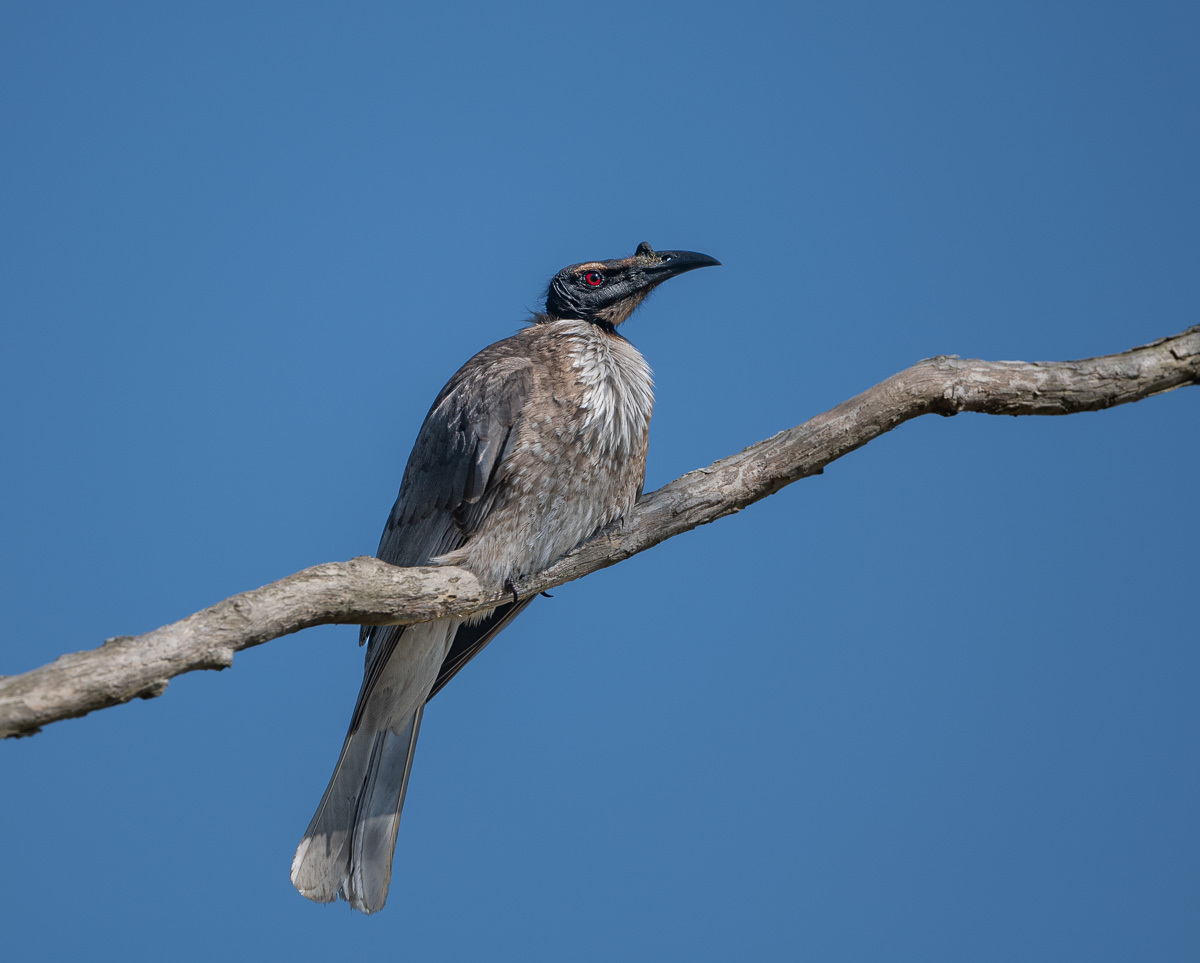 Click image for larger version

Name:	20230926_Tygum_Park_0073.jpg
Views:	83
Size:	176.1 KB
ID:	504504