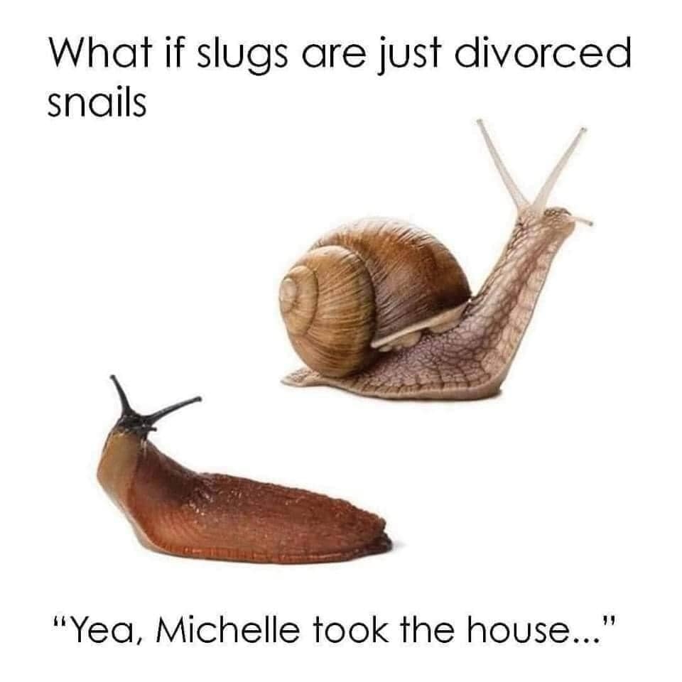 Click image for larger version

Name:	Snail.jpg
Views:	80
Size:	123.9 KB
ID:	488065