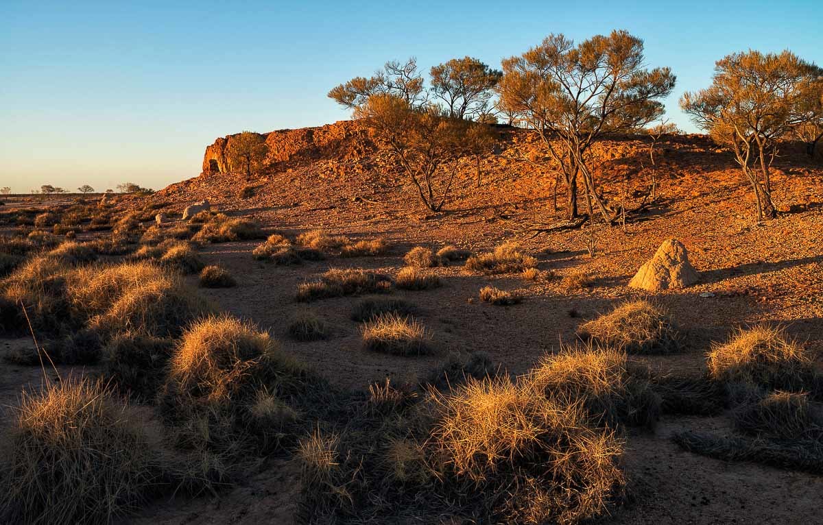 Click image for larger version

Name:	20150918_Outback_2417.jpg
Views:	91
Size:	290.7 KB
ID:	490412