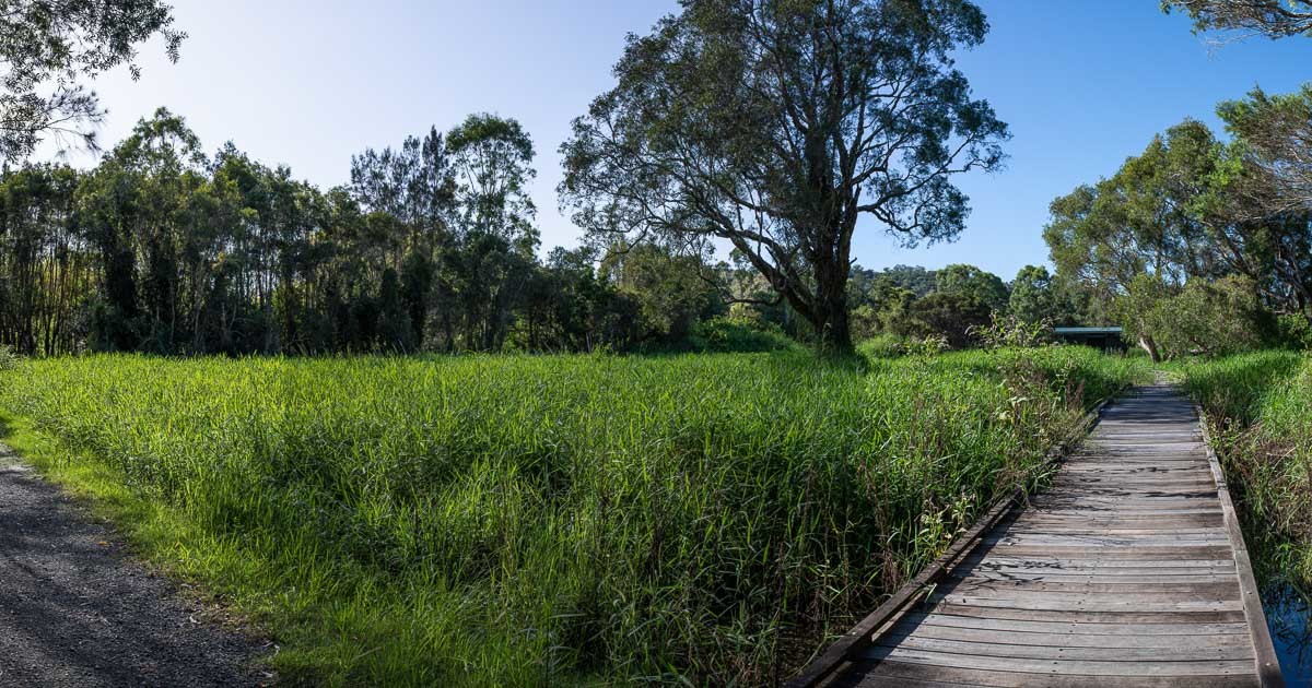 Click image for larger version

Name:	20240124_Eagleby_Wetlands_0110_0114_pan.jpg
Views:	62
Size:	289.6 KB
ID:	506586