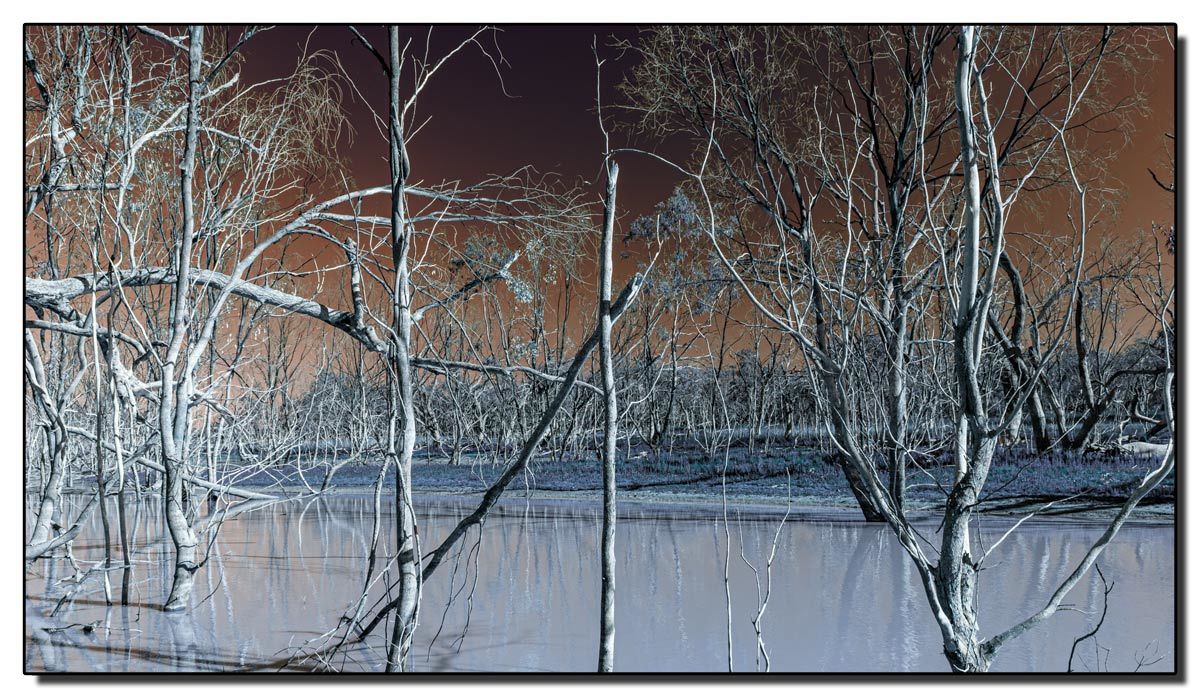 Click image for larger version

Name:	Kinchega National Park (Kyoto).jpg
Views:	94
Size:	246.1 KB
ID:	506841